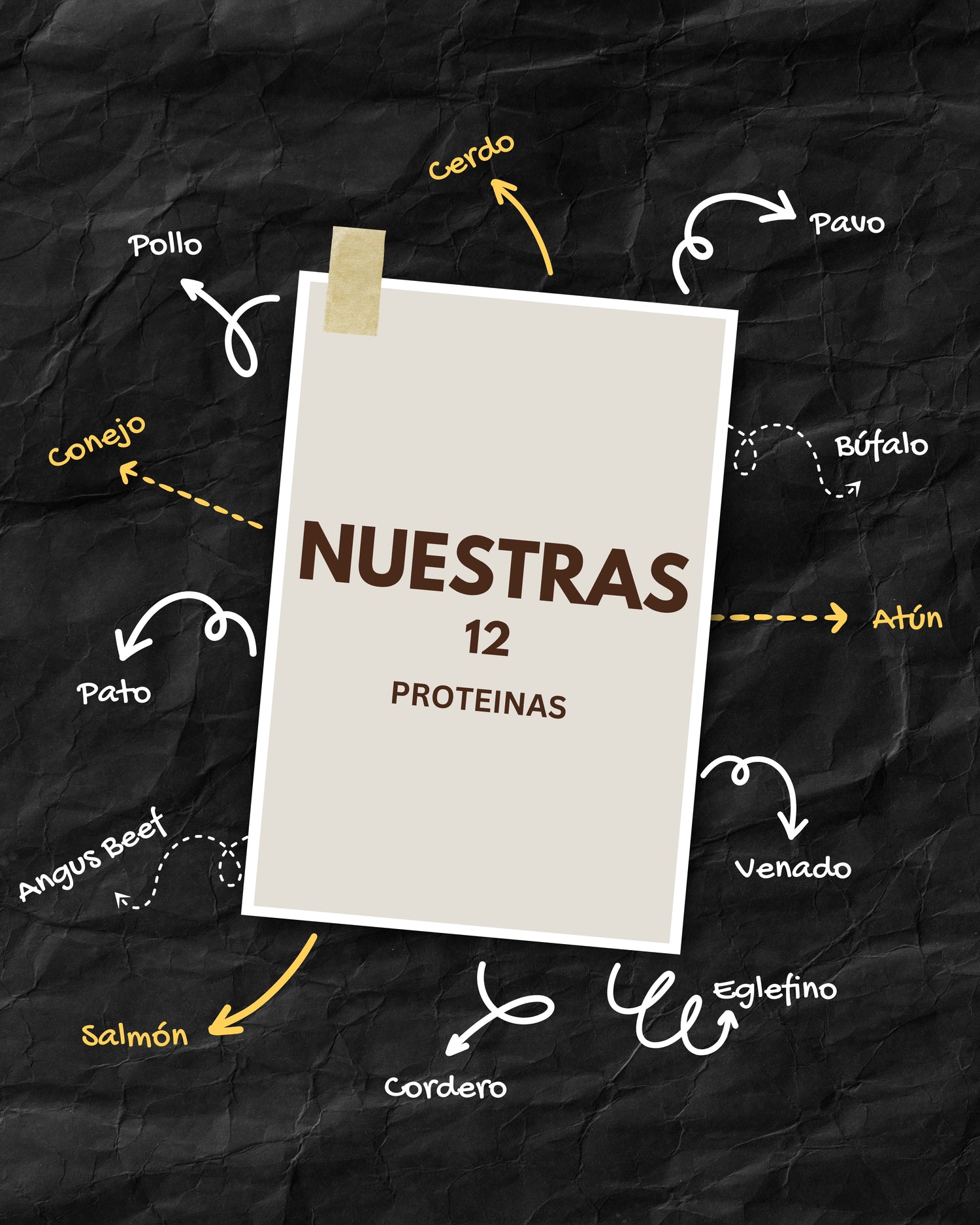 NUESTRAS 12 PROTEINAS