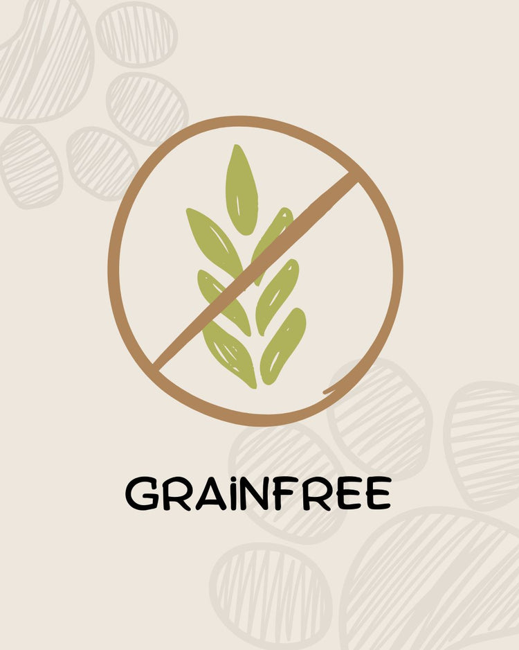 ¿POR QUÉ GRAINFREE?
