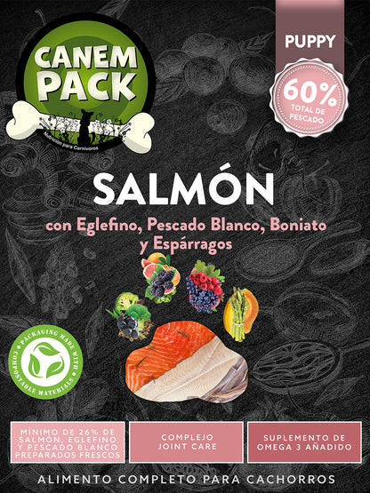 PERRO CACHORRO SALMÓN CON EGLEFINO, PESCADO BLANCO, BONIATO Y ESPÁRRAGOS